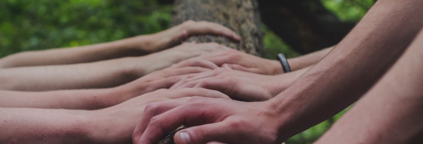 Hands touching a branch