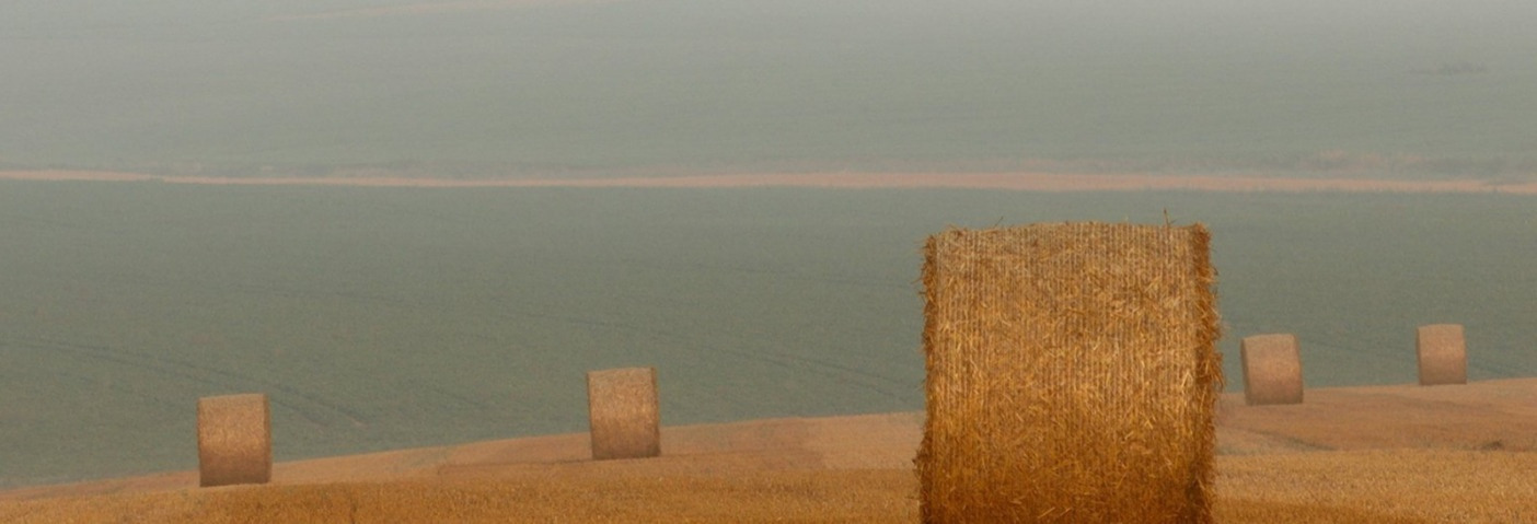bales of hay